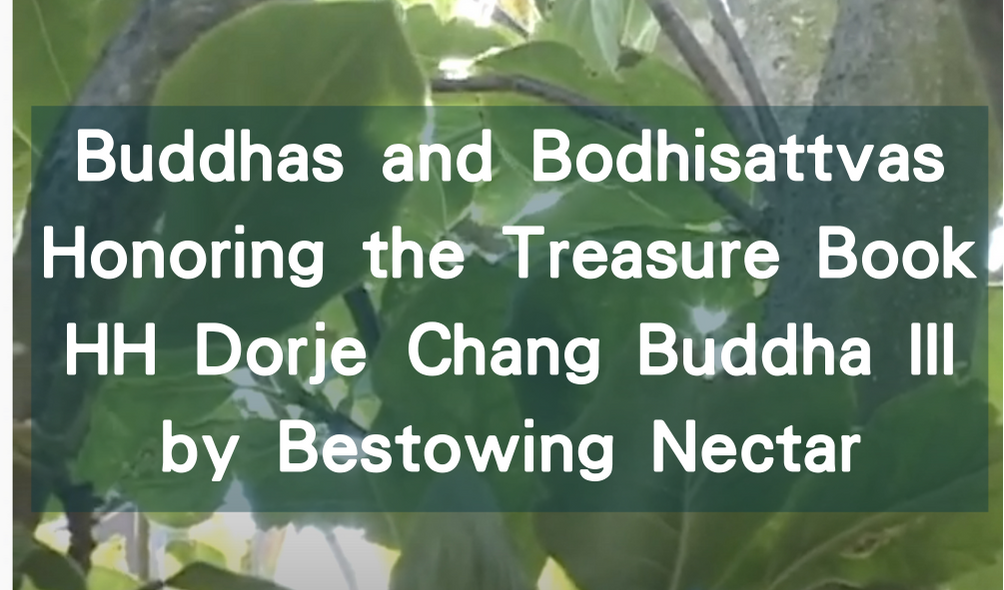 Buddhas and Bodhisattvas Honoring the Treasure Book HH Dorje Chang Buddha III by Bestowing Nectar